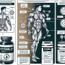 Cytomel (T3) dans le bodybuilding : comment l'utiliser pour le séchage
