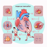 Comment le tamoxifène améliore la fonction cardiaque pendant l'effort physique