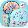 Effet du tamoxifène sur le système nerveux central