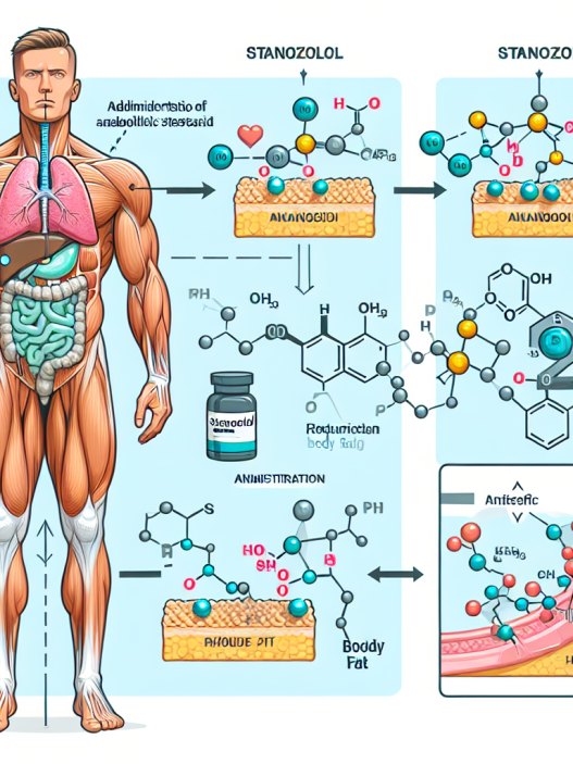 Injection de stanozolol et son rôle dans la réduction de la masse grasse