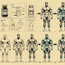 Utilisation de Sustanon 250 dans les cycles pour gagner de la masse musculaire