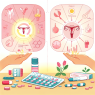 Clomid et changements hormonaux lors d'une utilisation prolongée