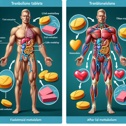 Effet des comprimés de trenbolone sur le métabolisme lipidique