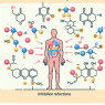 Inhibition des réactions lors de la prise de trenbolone mix