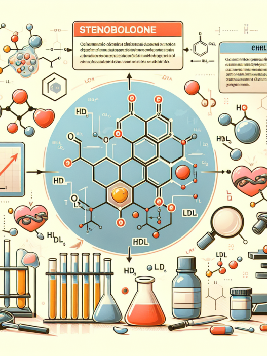 Comment la stenbolone influence-t-elle le taux de cholestérol ?